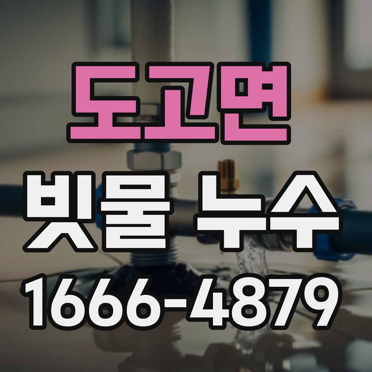 도고면 빗물 누수