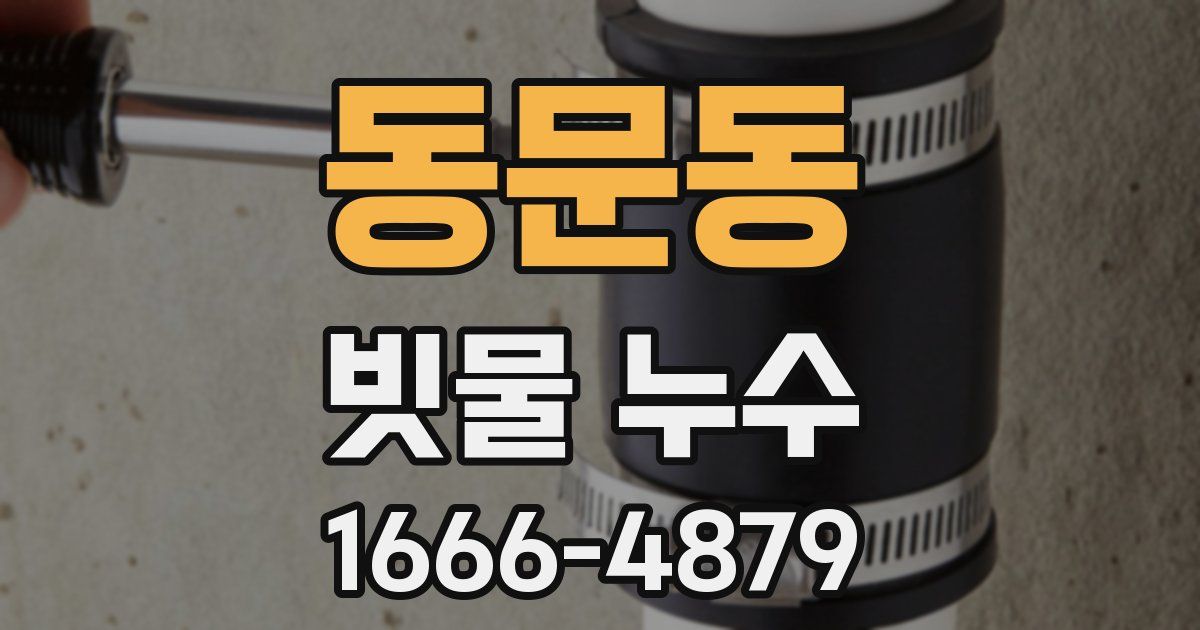 동문동 빗물 누수