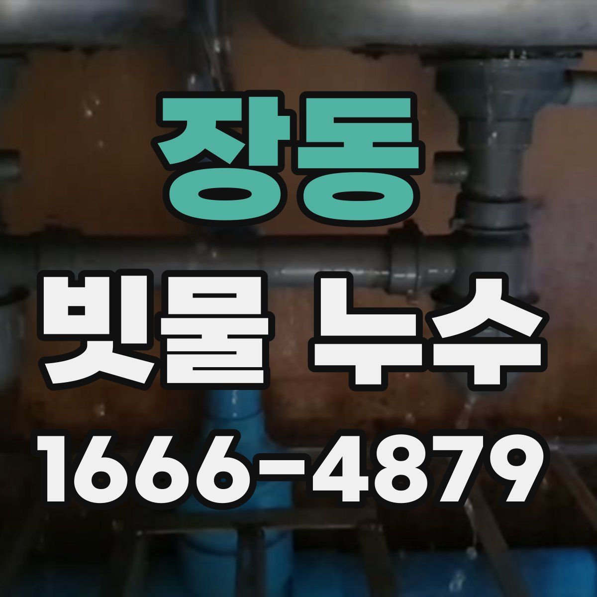 장동 빗물 누수