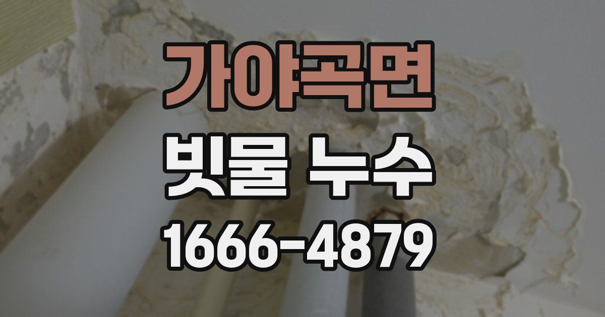 가야곡면 빗물 누수