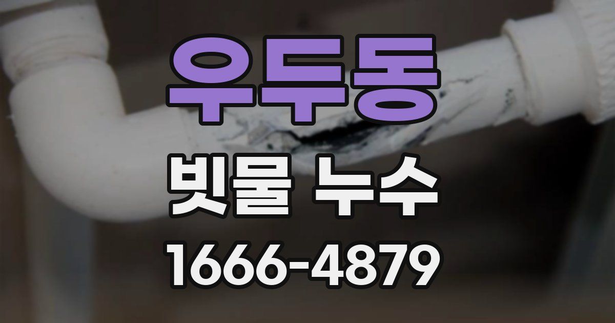 우두동 빗물 누수