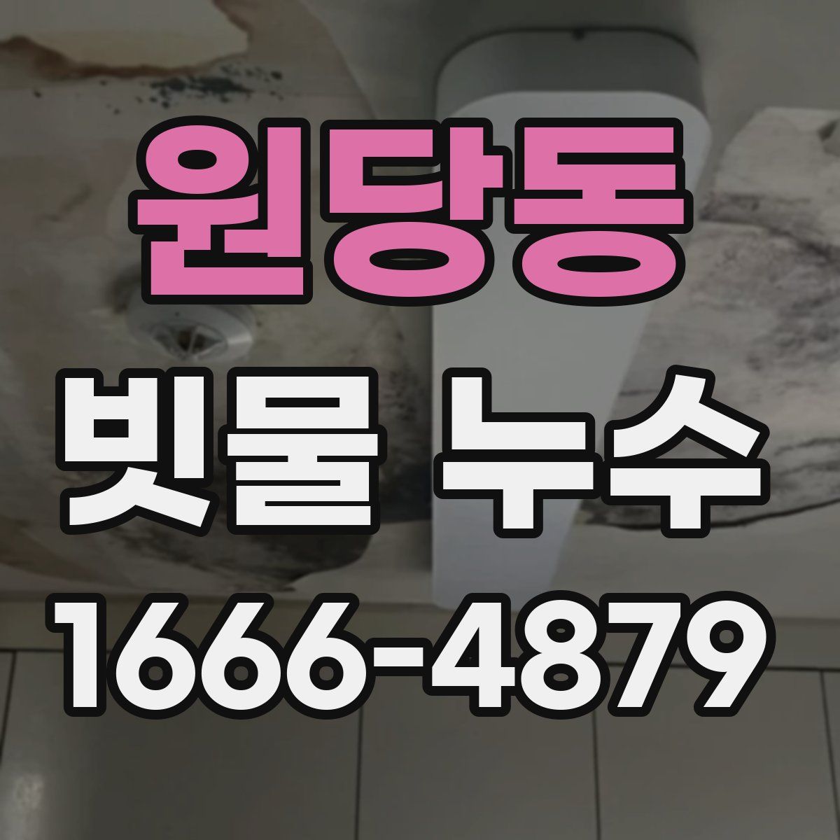원당동 빗물 누수