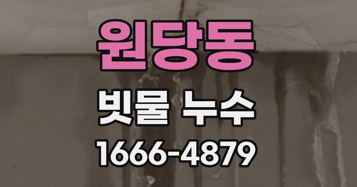 원당동 빗물 누수