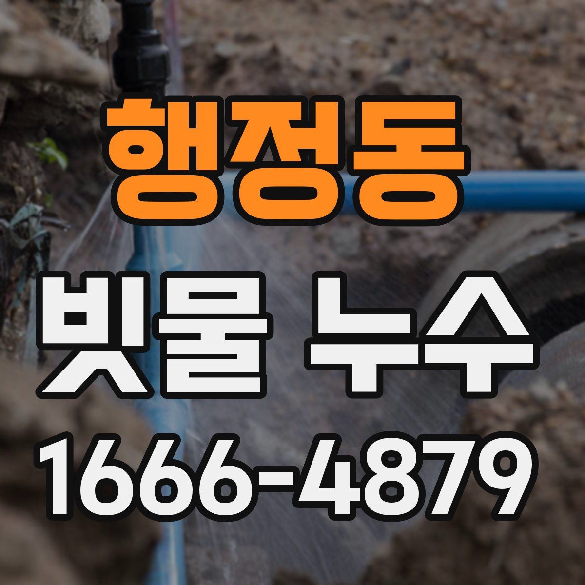 행정동 빗물 누수