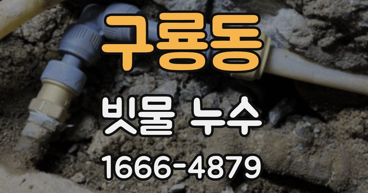구룡동 빗물 누수