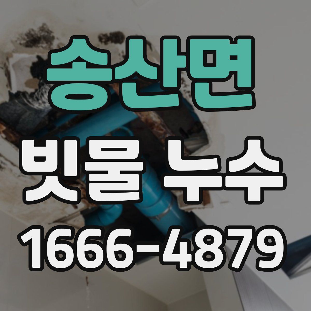 송산면 빗물 누수