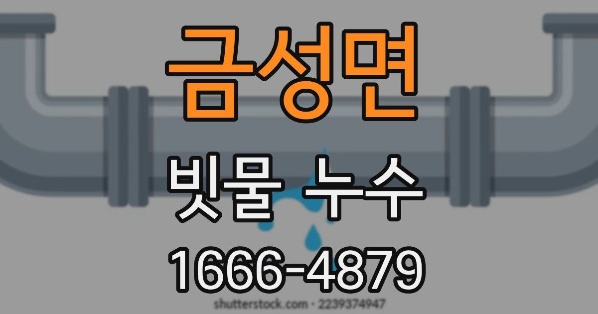 금성면 빗물 누수