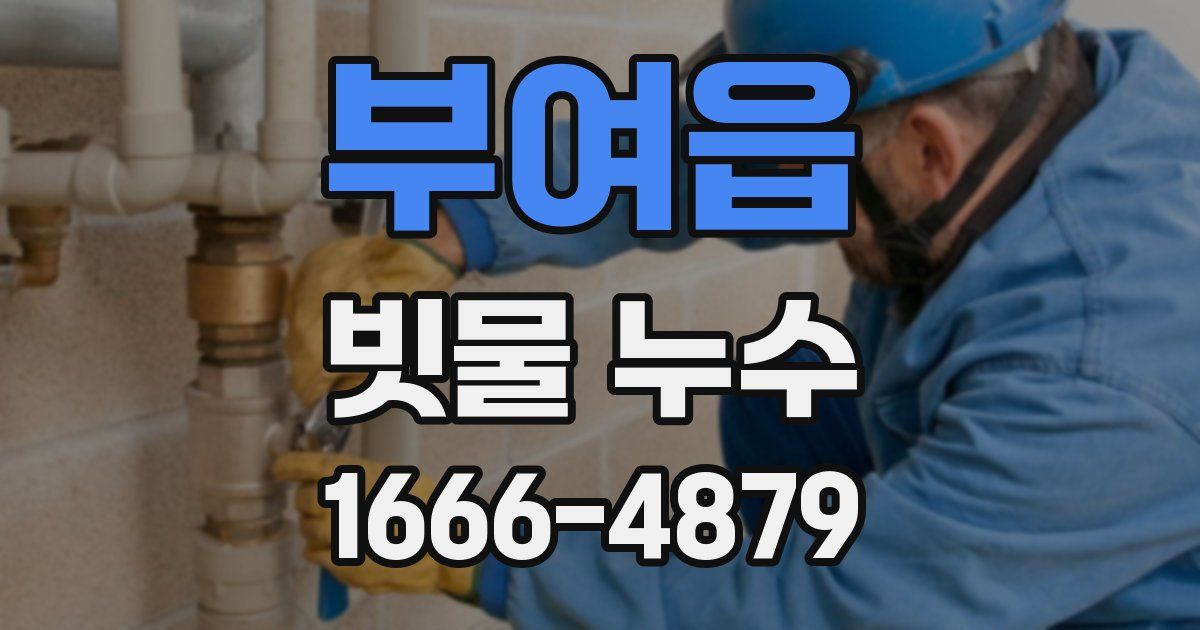 부여읍 빗물 누수