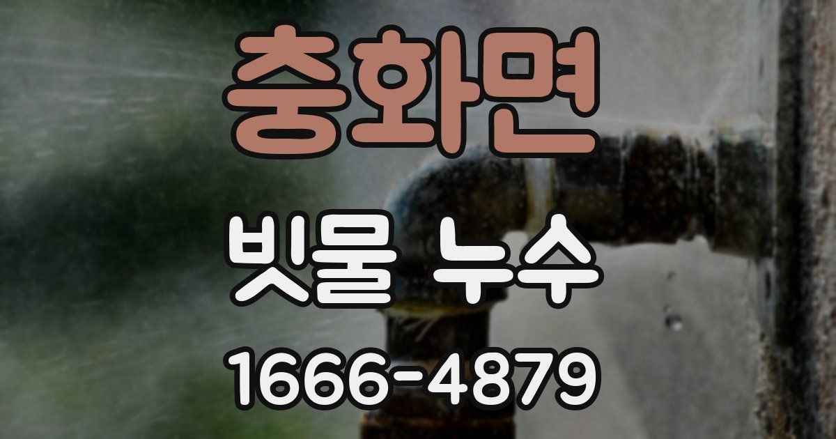 충화면 빗물 누수