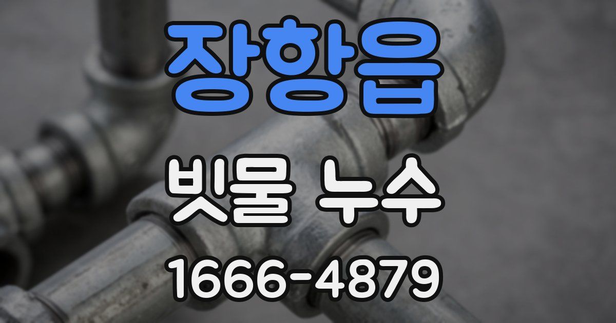 장항읍 빗물 누수