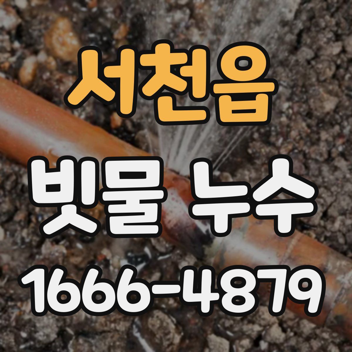 서천읍 빗물 누수