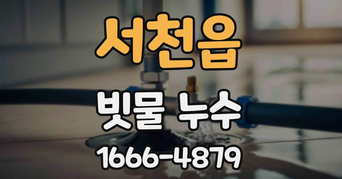 서천읍 빗물 누수