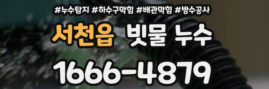 서천읍 빗물 누수
