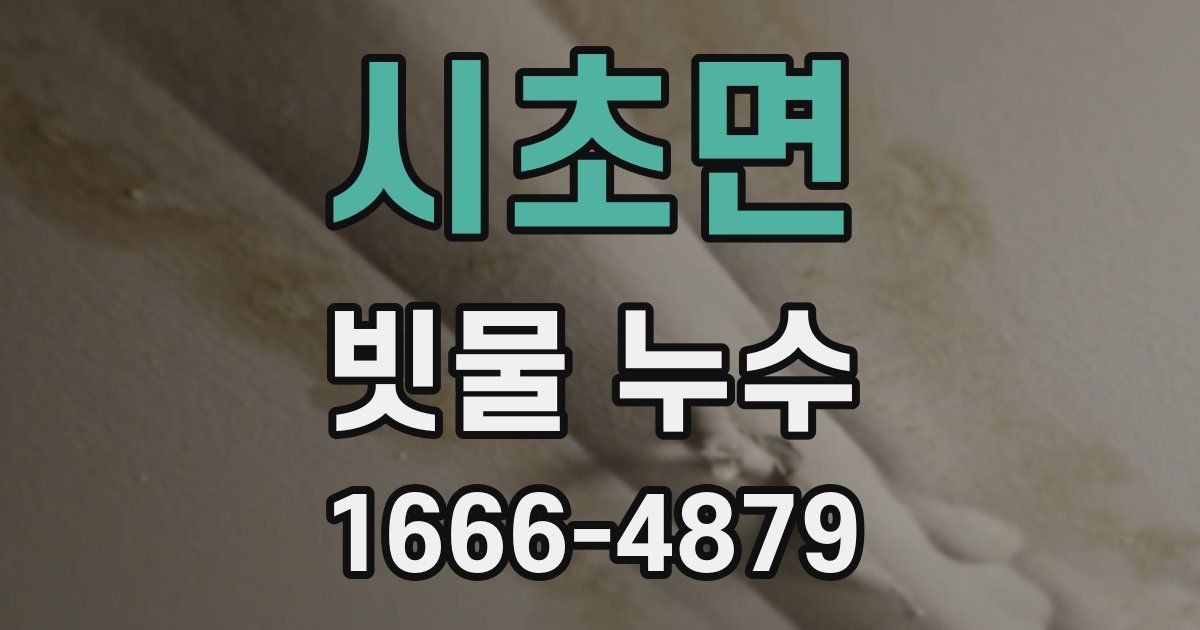 시초면 빗물 누수