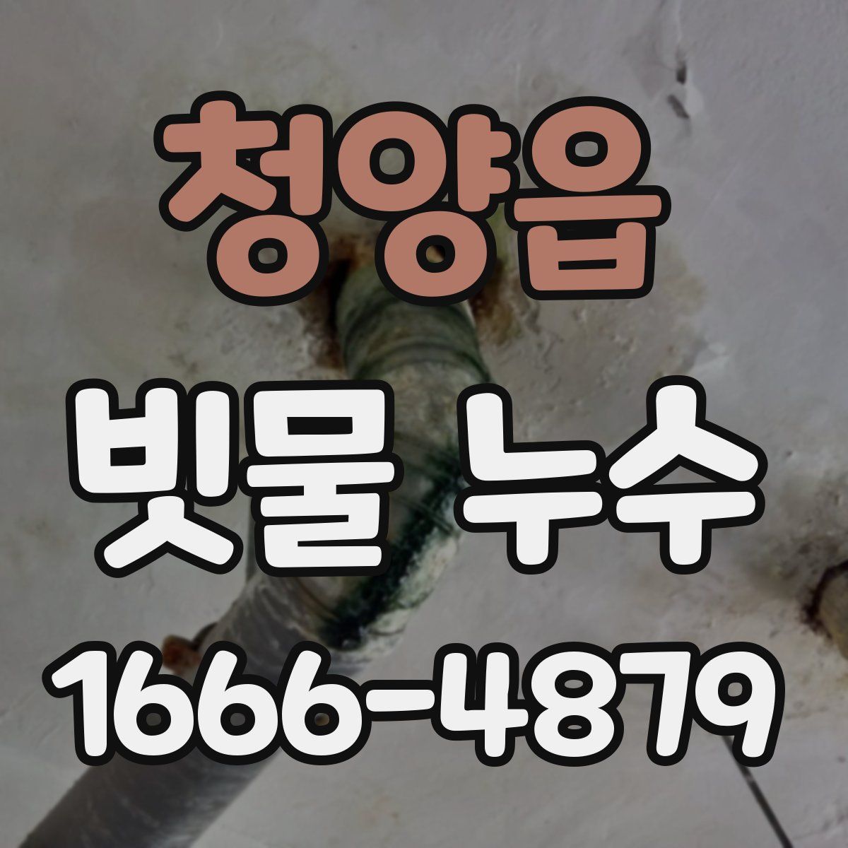 청양읍 빗물 누수