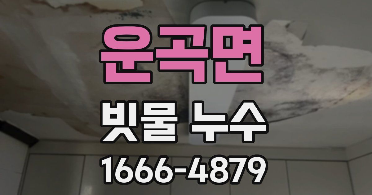 운곡면 빗물 누수