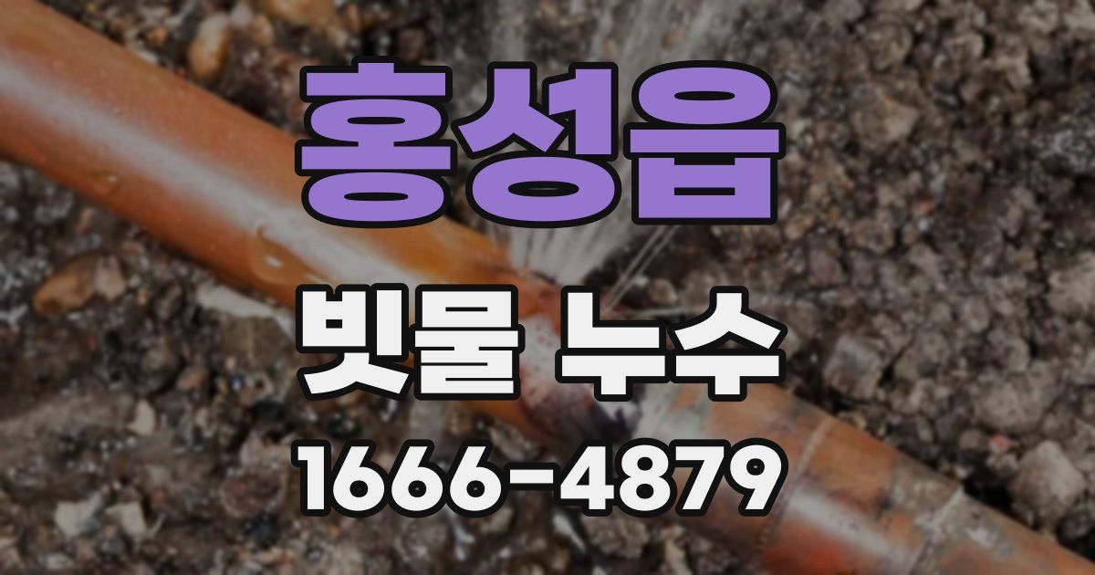 홍성읍 빗물 누수