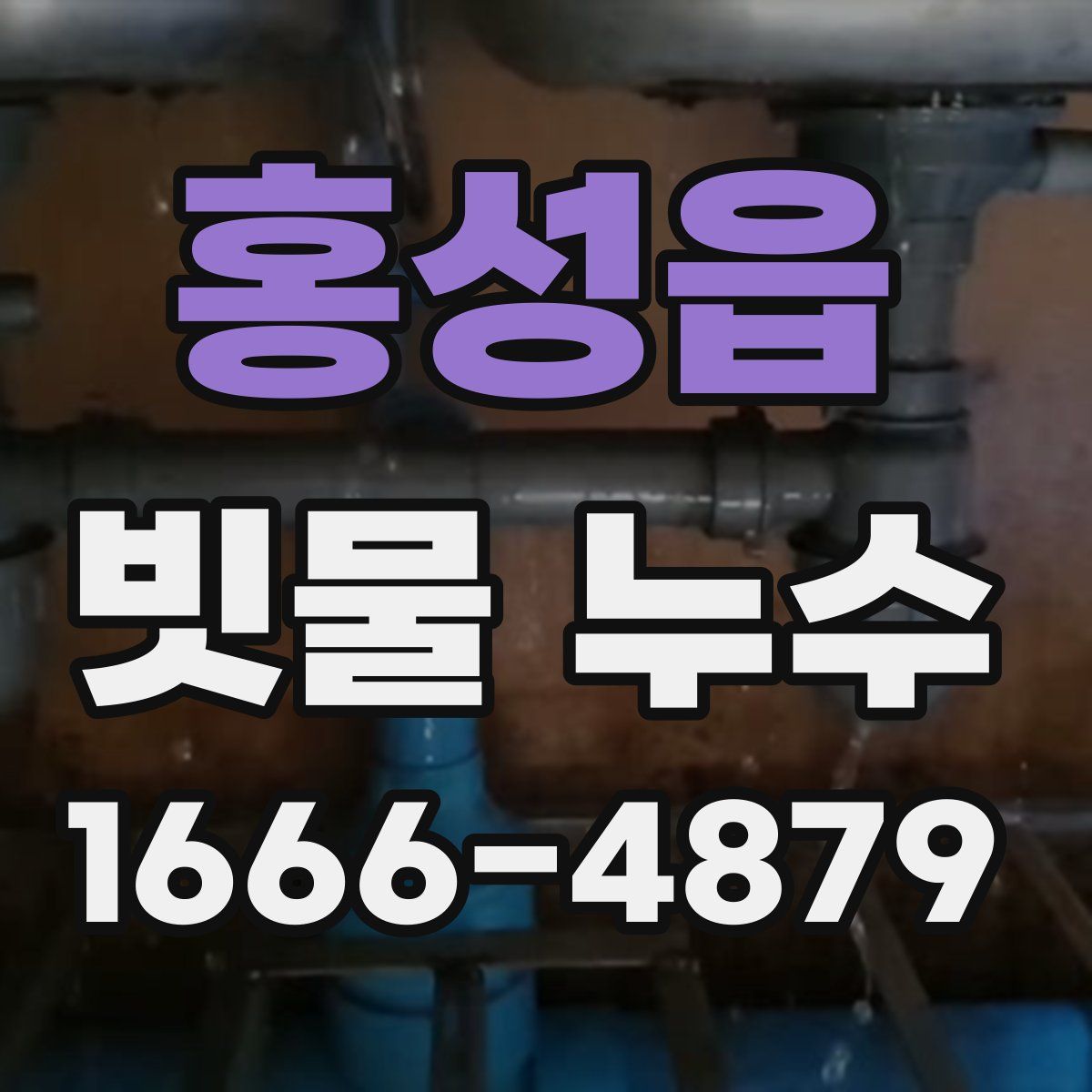 홍성읍 빗물 누수