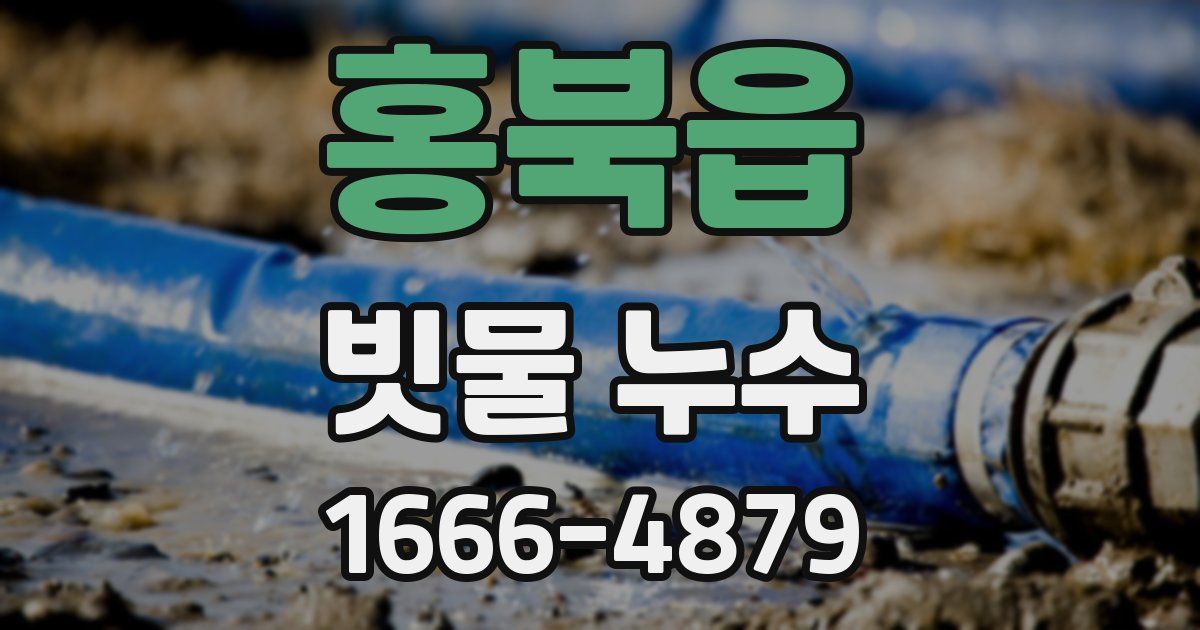 홍북읍 빗물 누수