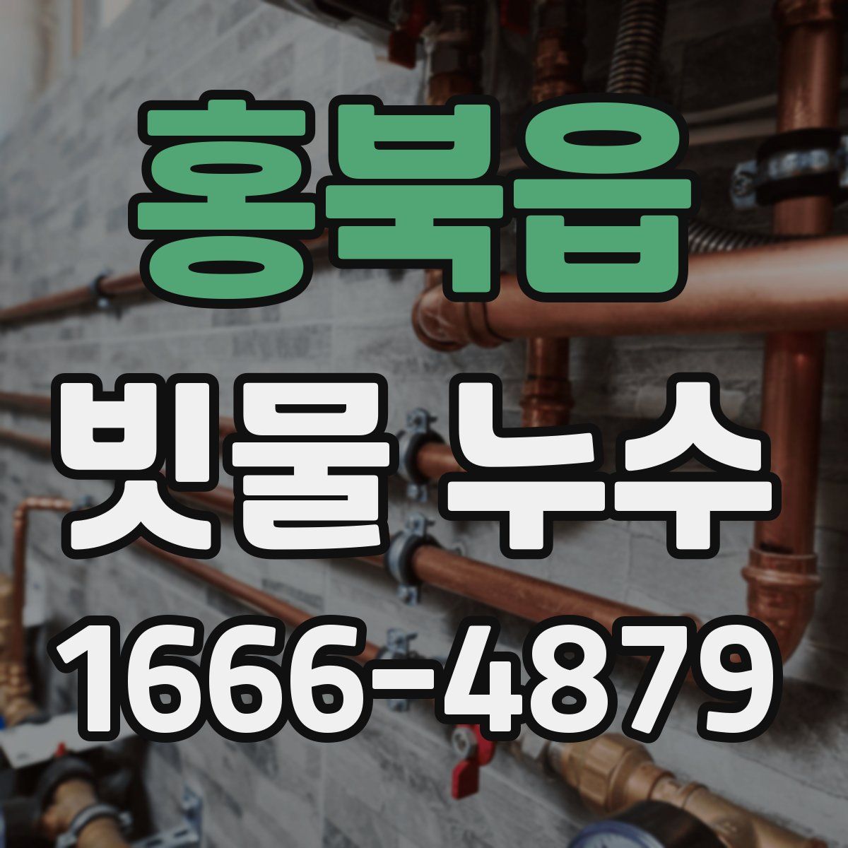 홍북읍 빗물 누수