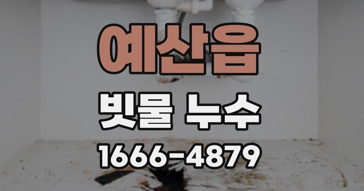 예산읍 빗물 누수
