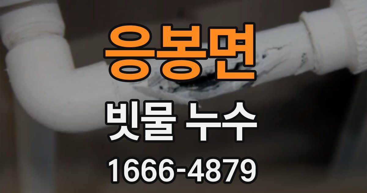 응봉면 빗물 누수