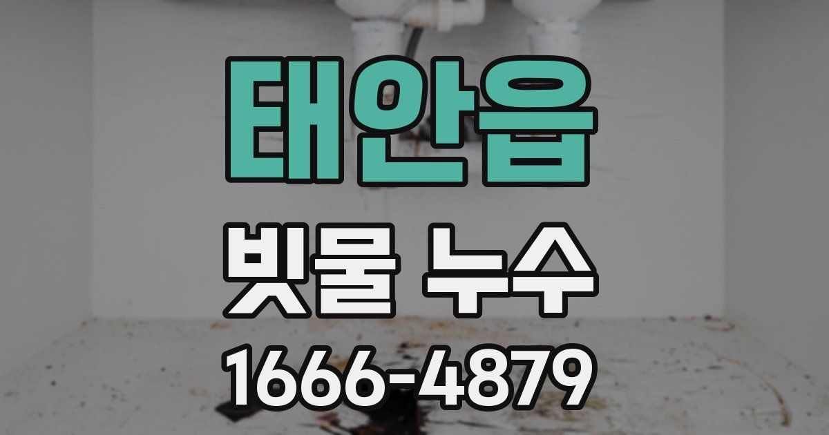 태안읍 빗물 누수