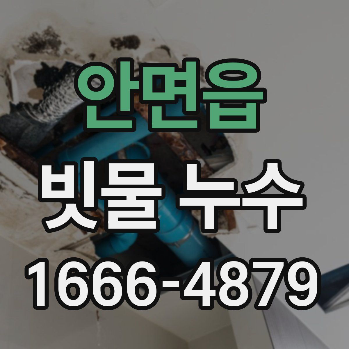 안면읍 빗물 누수