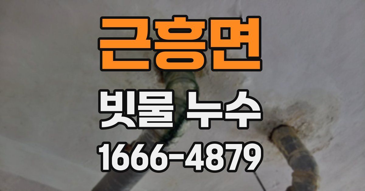 근흥면 빗물 누수