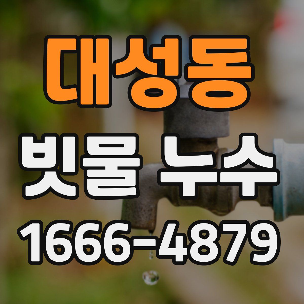 대성동 빗물 누수
