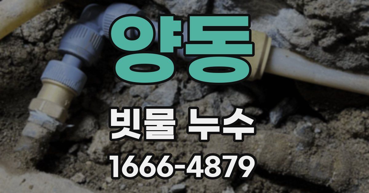양동 빗물 누수