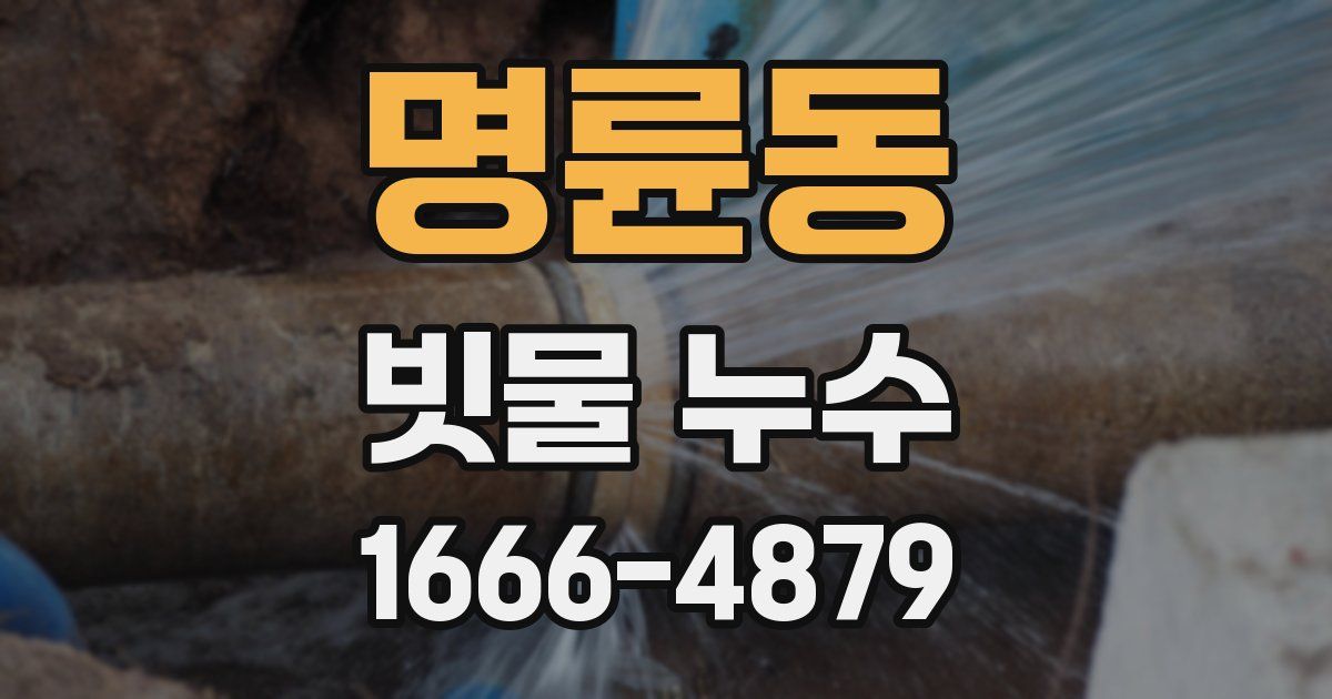 명륜동 빗물 누수