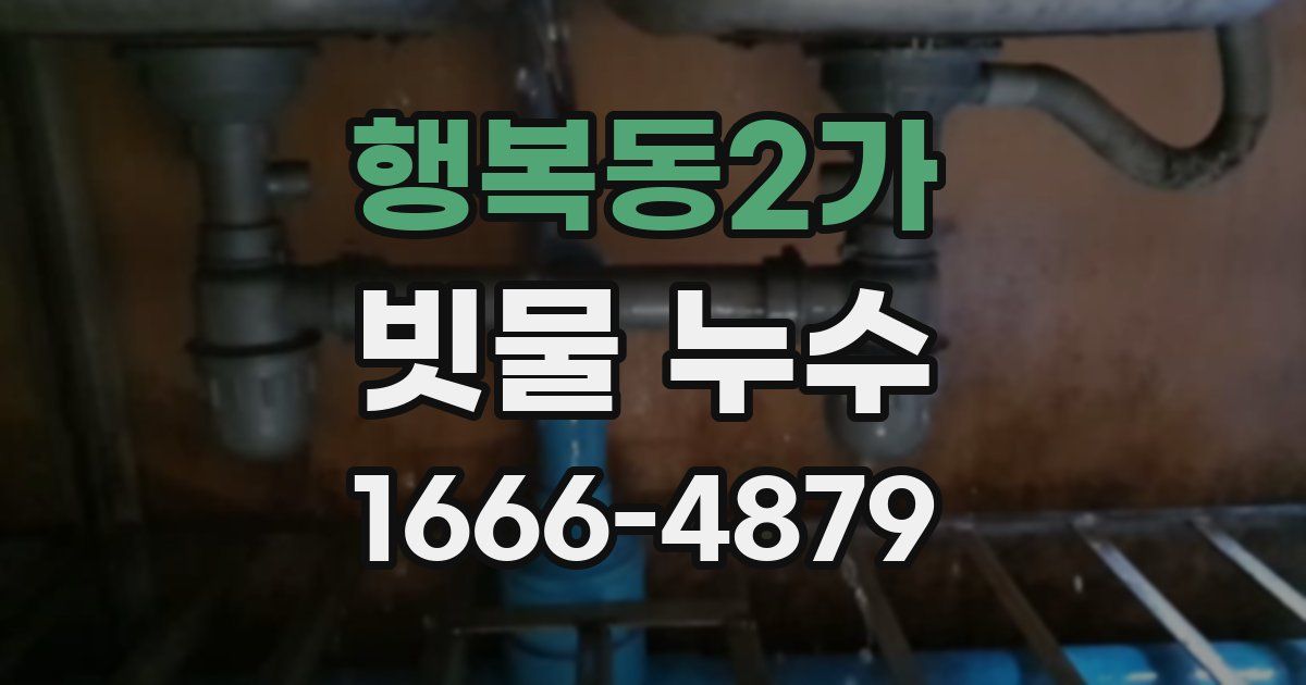 행복동2가 빗물 누수