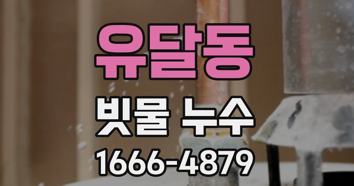 유달동 빗물 누수