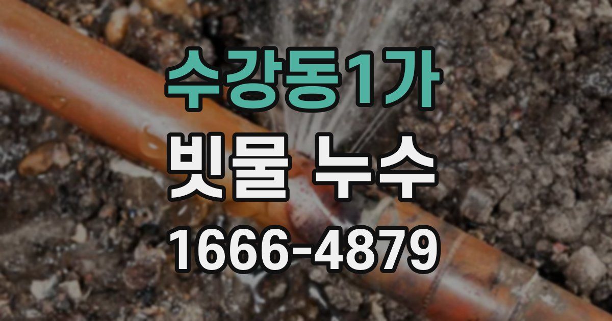 수강동1가 빗물 누수