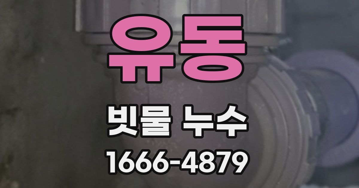 유동 빗물 누수