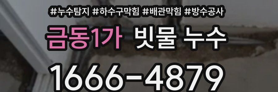 금동1가 빗물 누수