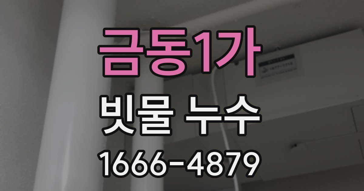 금동1가 빗물 누수