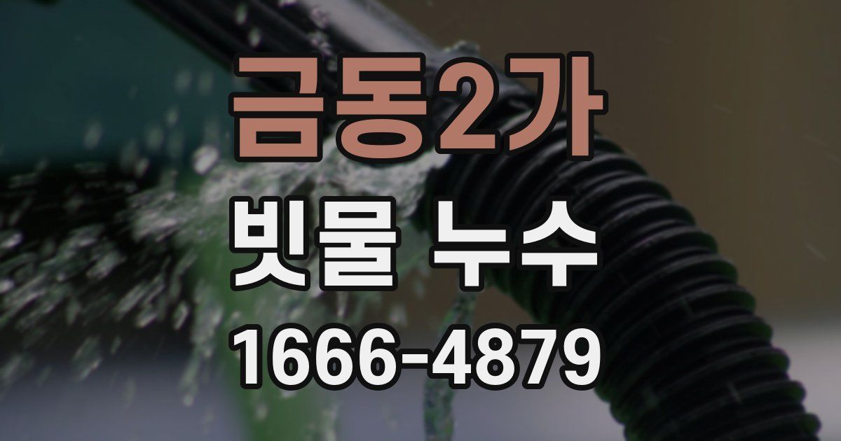 금동2가 빗물 누수