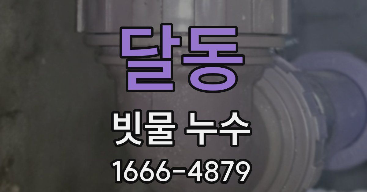 달동 빗물 누수