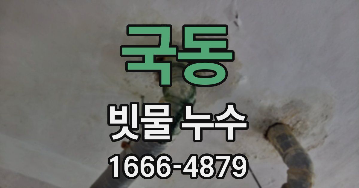 국동 빗물 누수