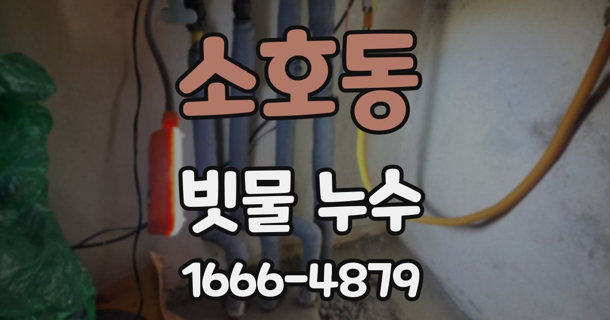 소호동 빗물 누수