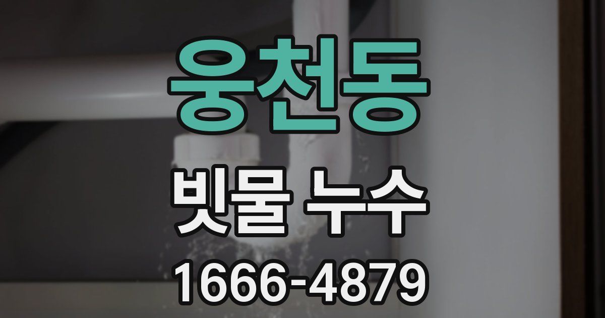 웅천동 빗물 누수
