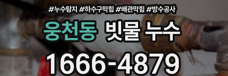 웅천동 빗물 누수