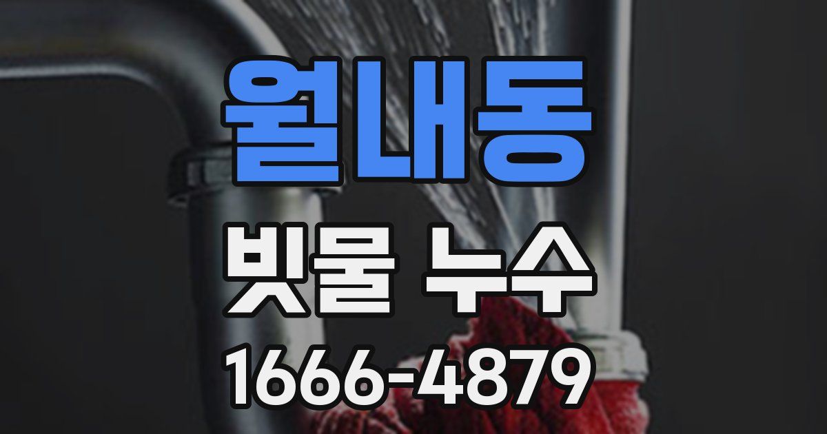 월내동 빗물 누수