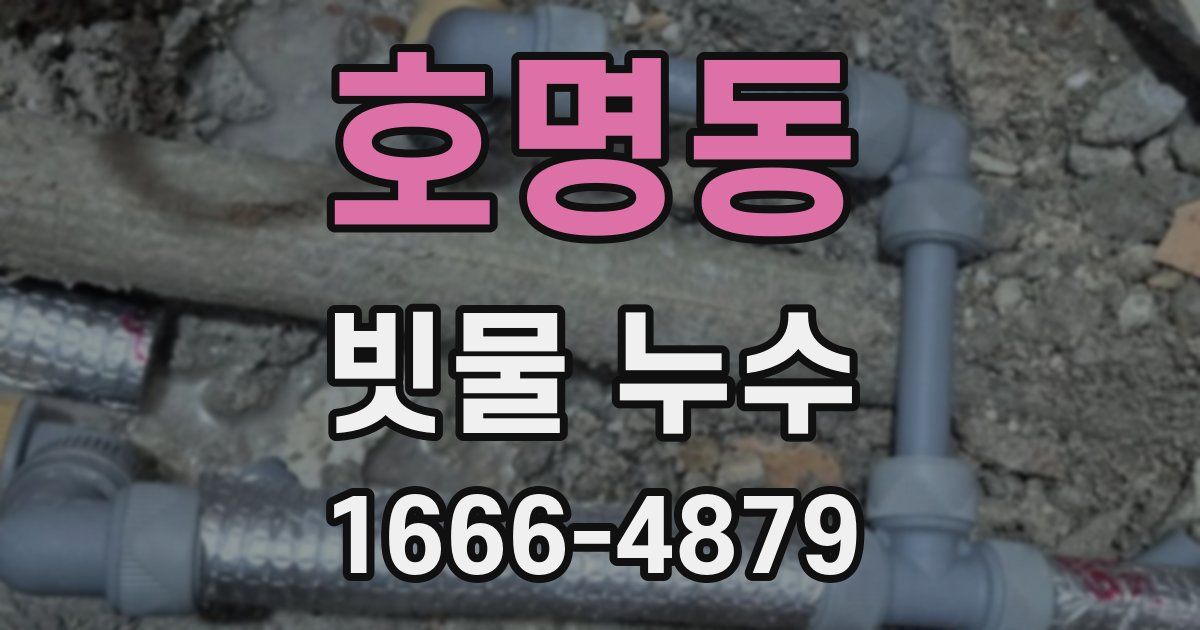 호명동 빗물 누수