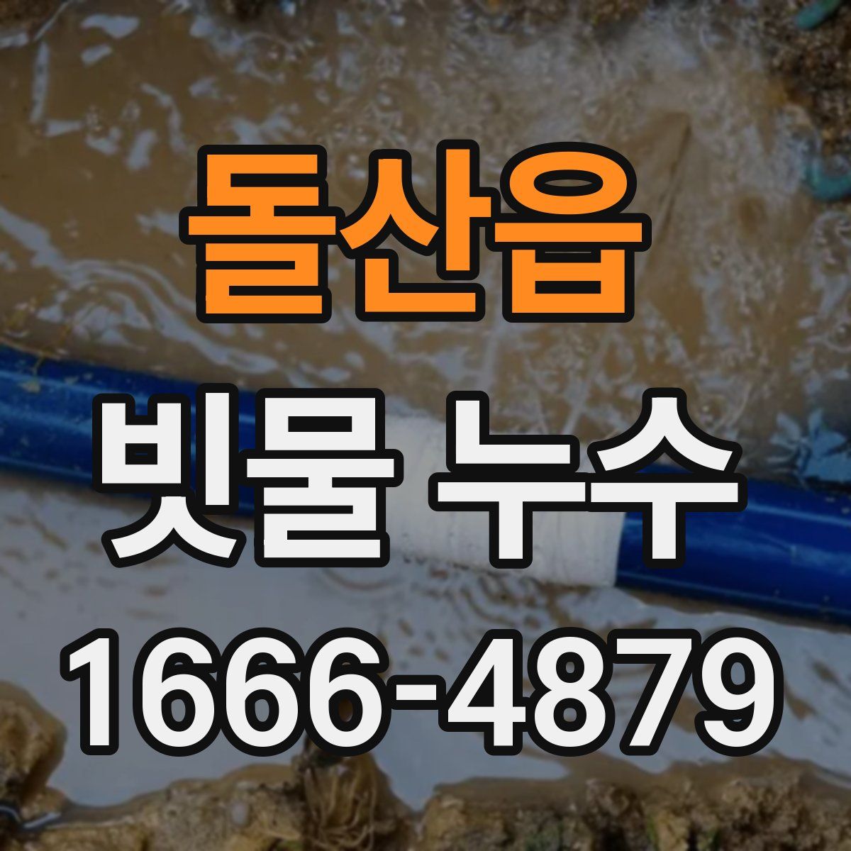 돌산읍 빗물 누수
