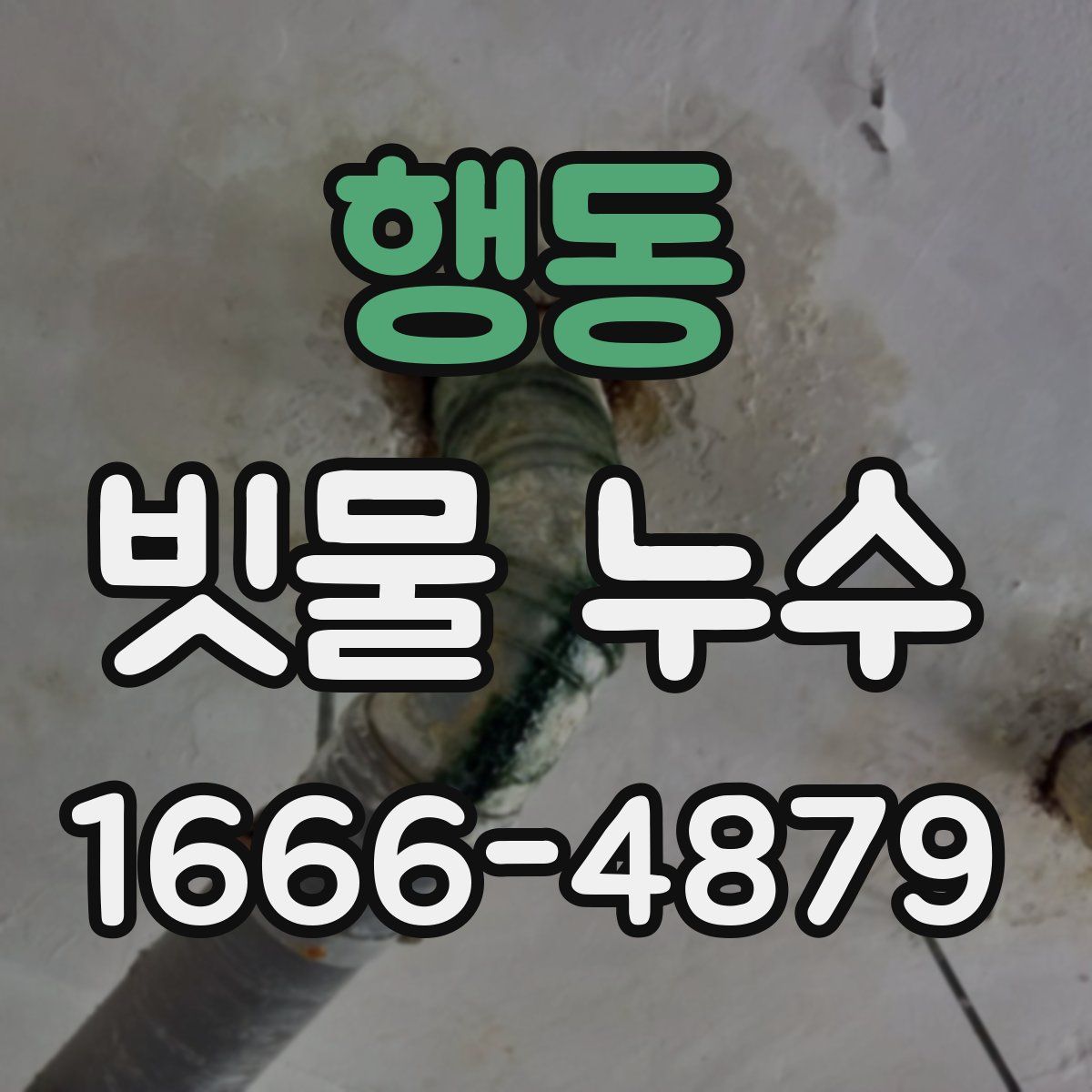 행동 빗물 누수