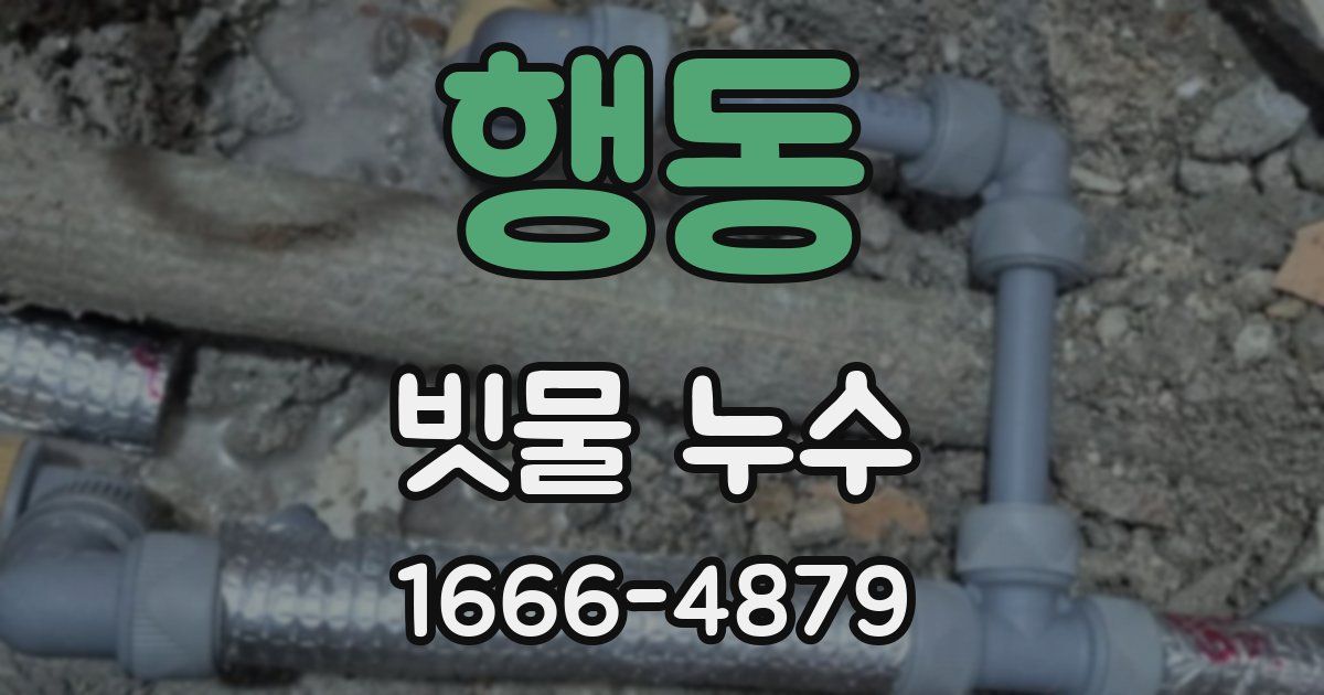 행동 빗물 누수