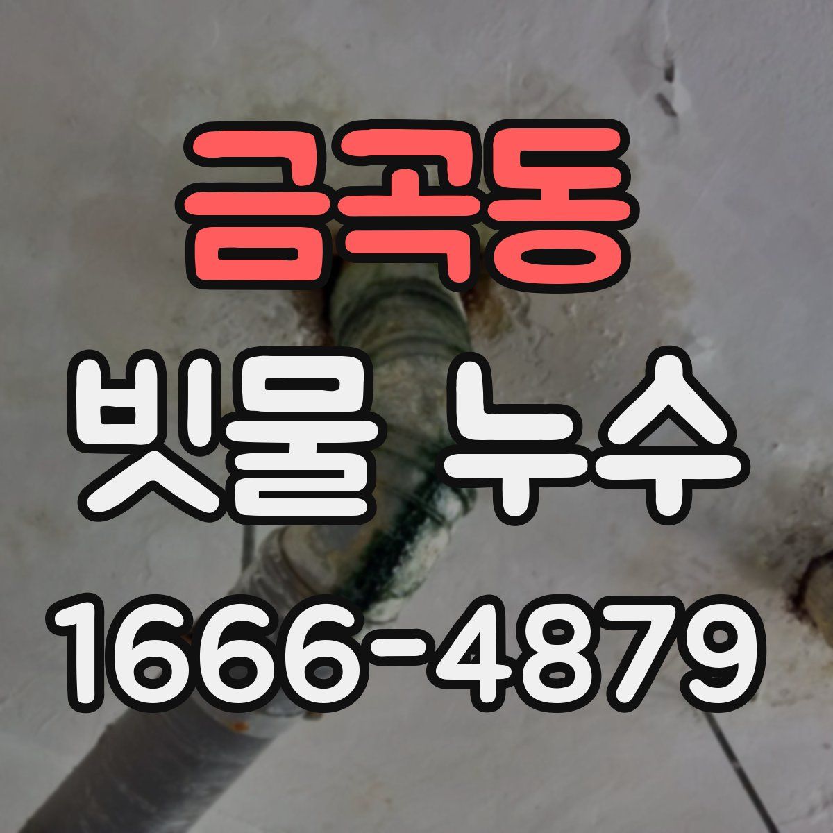 금곡동 빗물 누수